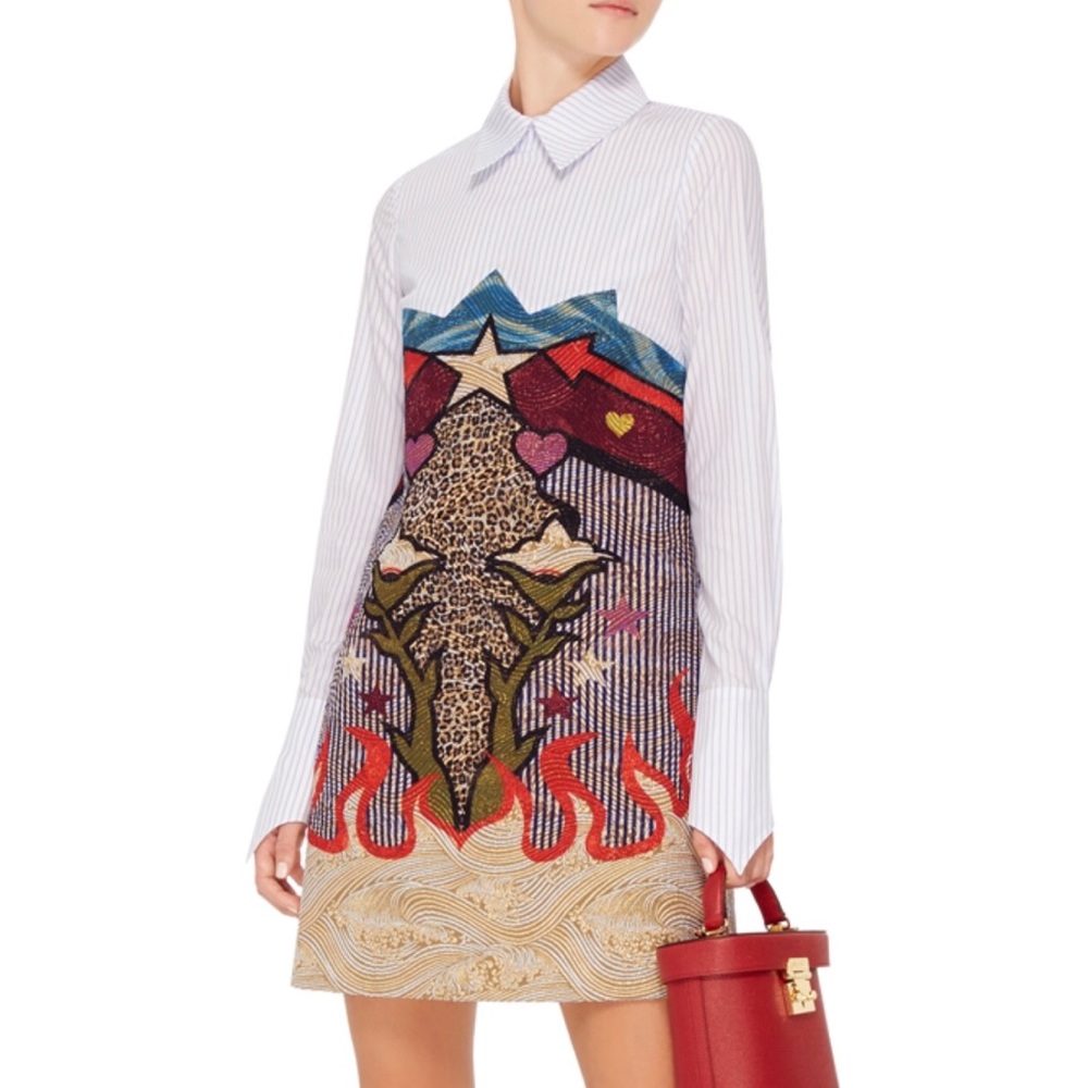 Mary Katrantzou Steal Print Jacquard Shirt Dress
